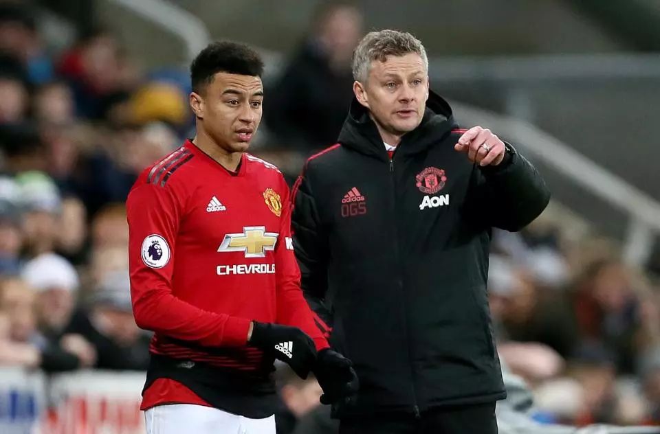 及地区荣誉 及地区荣誉